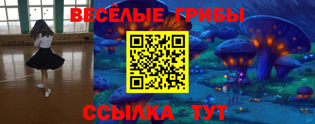 Псилоцибиновые грибы GOLDEN TEACHER Чебоксары