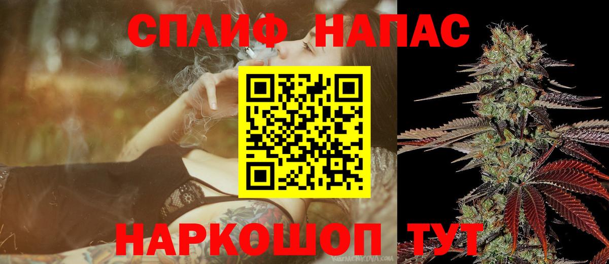 Бошки Шишки планчик Чебоксары